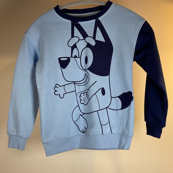 Bluey Character Kids Cartoon Pajama Sleep Set Sweatshirt Sweatpants Tshirt - Picture 1 of 8